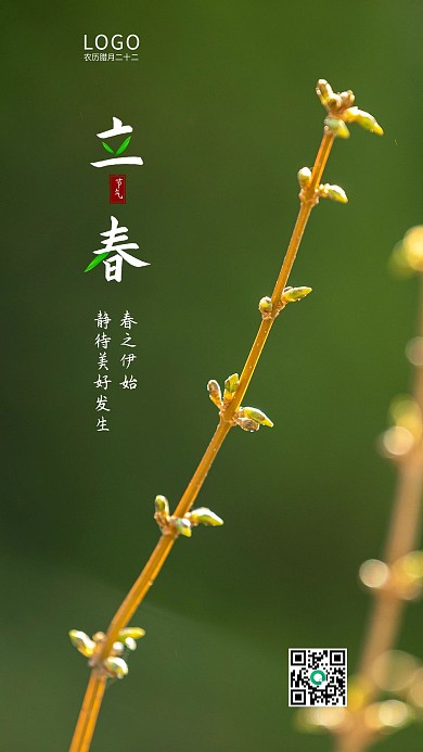 立春 发芽 绿色 节气海报 二十四节气