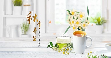 秋季养生茶调理海报