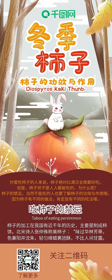 冬季柿子功效干货科普信息长图