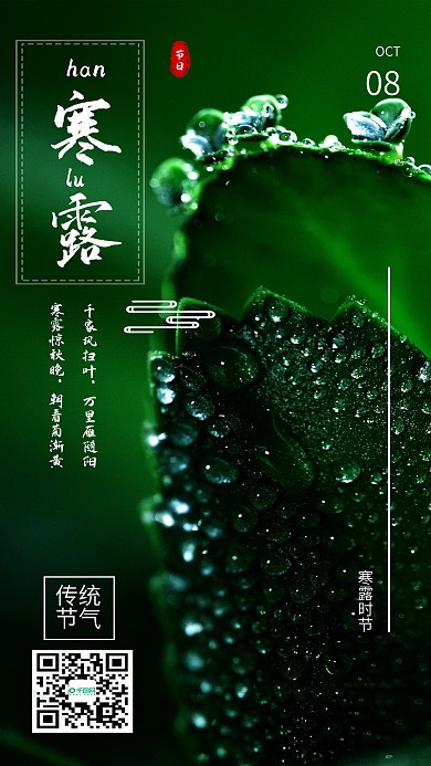 简约清新寒露时节节气手机海报