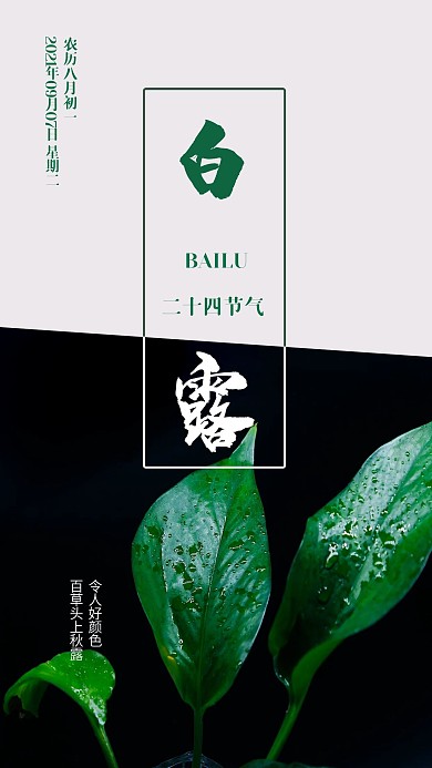 清新二十四节气白露手机海报