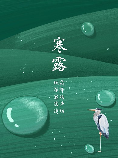 寒露24节气节日海报露水