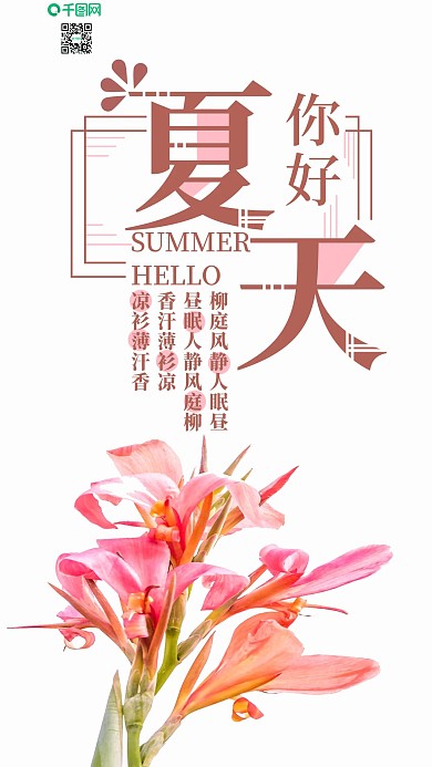 手机用图夏天你好粉色美人蕉摄影图