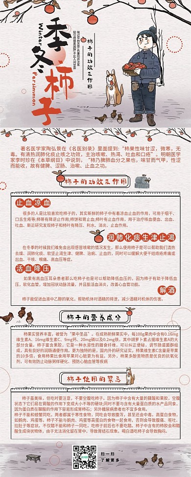 冬季柿子的功效与作用干货分享信息长图