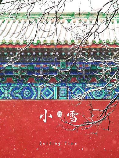 小雪大雪小寒大寒立冬冬至故宫的雪海报