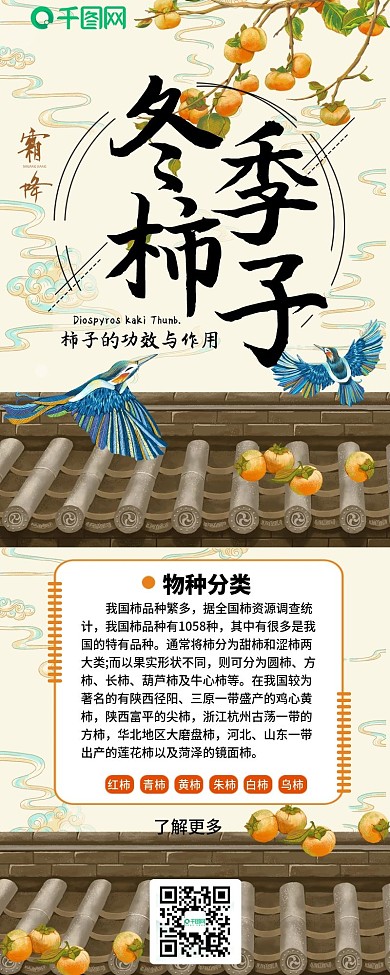 冬季柿子工笔中国风功效干货科普信息长图