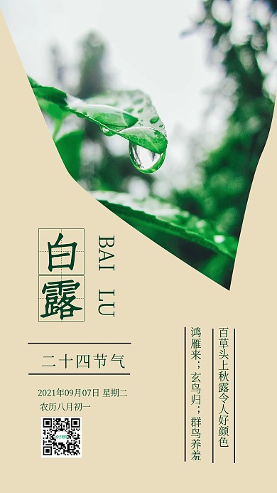 清新二十四节气白露手机宣传海报