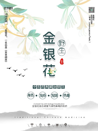 中国风养生金银花海报