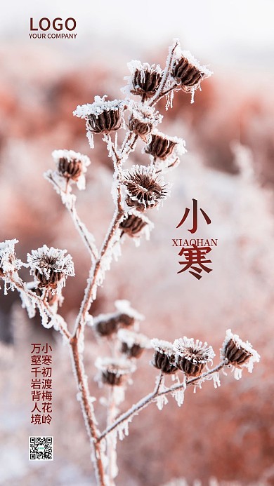 小寒节气手机海报新媒体节气海报二十四节气