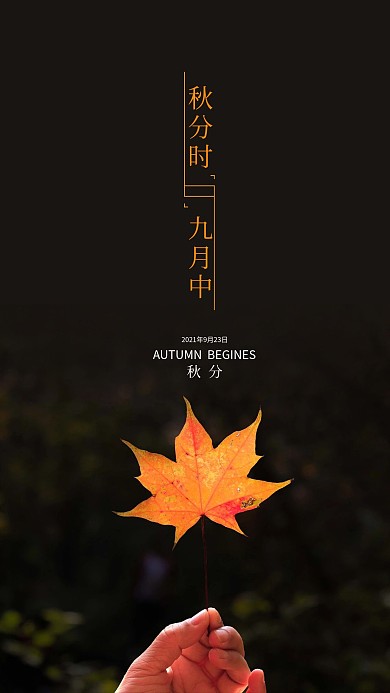 秋分节气简约手机海报