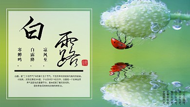 白露节气介绍展板