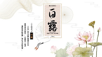 白露展板简约中国风气象板