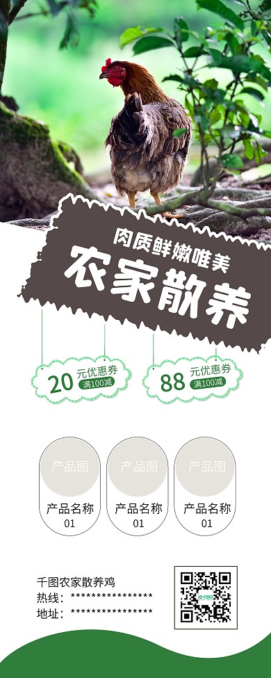 农家土鸡花鸡散养鸡促销展架易拉宝