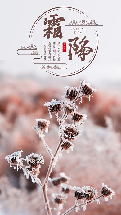霜降二十四节气手机海报配图