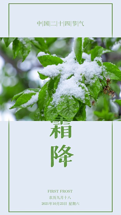 清新简约二十四节气霜降手机海报