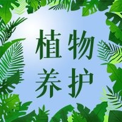 公众号次图叶子植物养护养花生活蓝天阳光