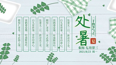 小清新夏天处暑节气展板