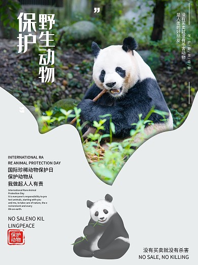 国际珍稀动物保护日宣传海报
