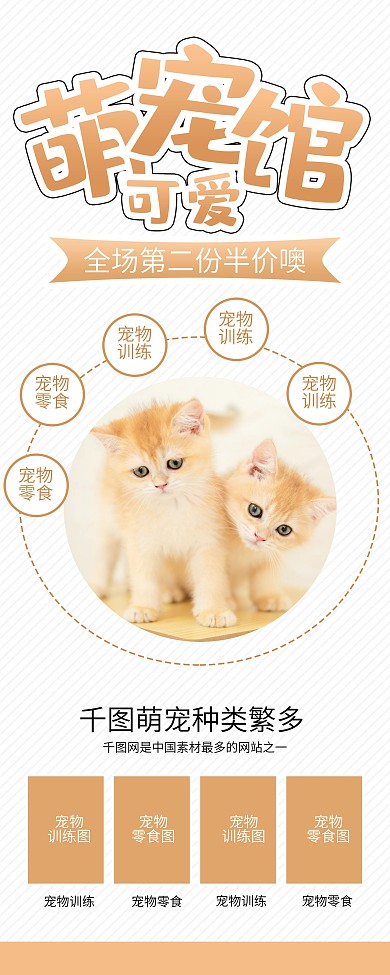 可爱萌宠之家猫咪宠物店宣传X展架易拉宝
