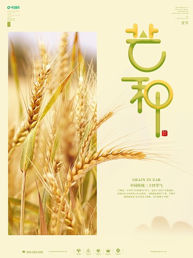 芒种节气芒种海报素材图片简约展板夏季