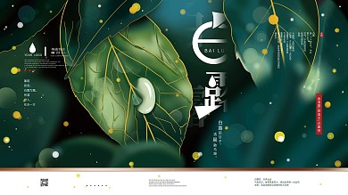 手绘绿色清新白露节气宣传展板