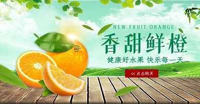 香甜鲜橙banner