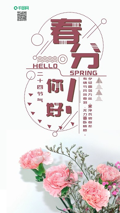 手机用图小清新康乃馨花朵春分节气摄影图