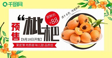 枇杷节专题