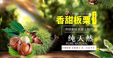 香甜板栗促销海报