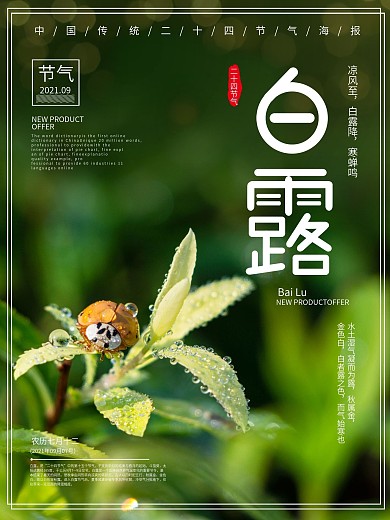 原创白露海报