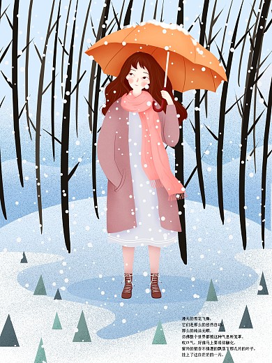 冬季飘雪大寒原创插画海报