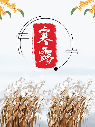 寒露24节气海报