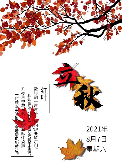 二十四节气之立秋简约海报