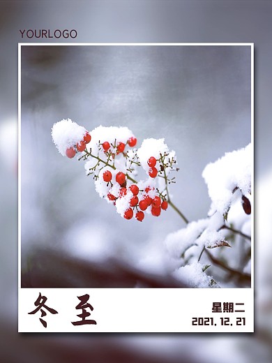 二十四节气冬至冬天立冬小雪大雪饺子雪景