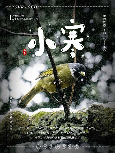 小清新小寒节气海报