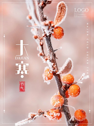 大寒节气海报冬季植物雪景二十四节气