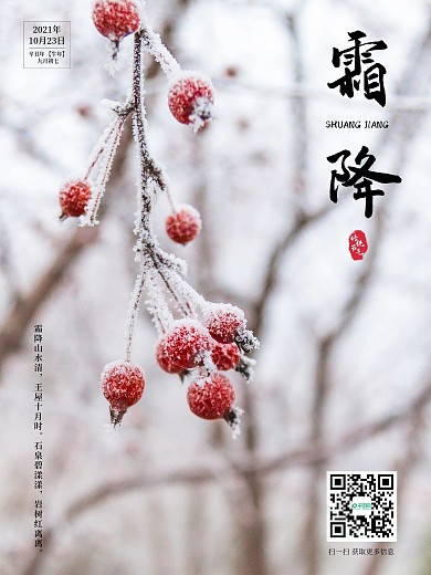 秋天霜降节气红色植物简约古风大气海报