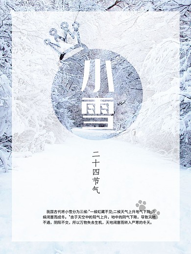 二十四节气简约白雪树木小雪海报