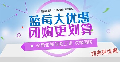 蓝色清新水果蓝莓蔬菜团购优惠海报模板