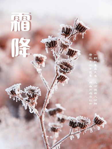 霜降传统节日二十四节气海报秋天秋季