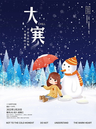 二十四节气大寒通用型插画风宣传海报