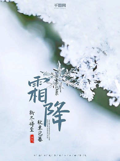 24节气之霜降树枝小清新简约宣传海报