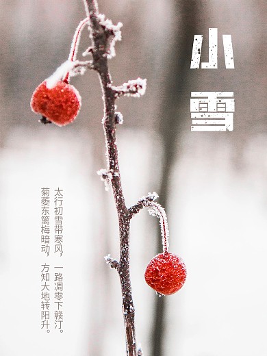 小雪传统节日二十四节气海报冬天冬季