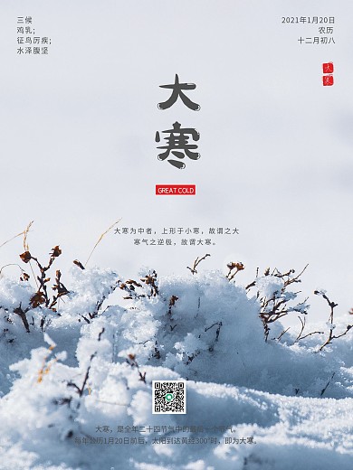 中国二十四节气大寒小寒简约海报