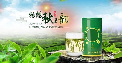 养生茶茶饮清新茶秋茶淘宝电商天猫