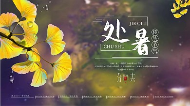 处暑传统二十四节气简约大气节气展板