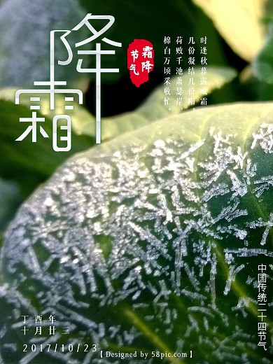 霜降节气海报