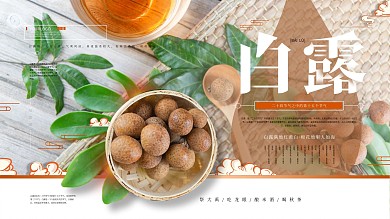 白露节气简约清新展板