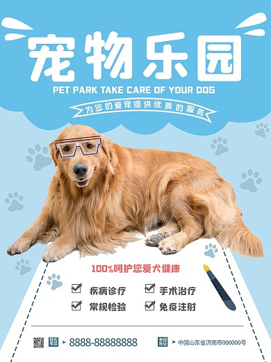宠物海报医院健康狗可爱