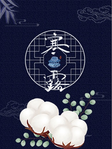 寒露24节气节日海报露水